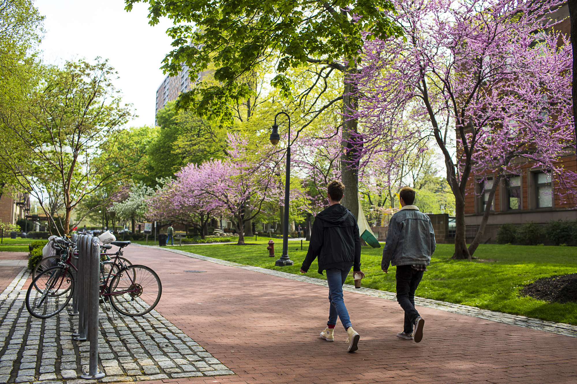 Two people are walking through Pratt campus in springtime. The trees are in bloom with pink flowers. The people are wearing long pants and light jackets.