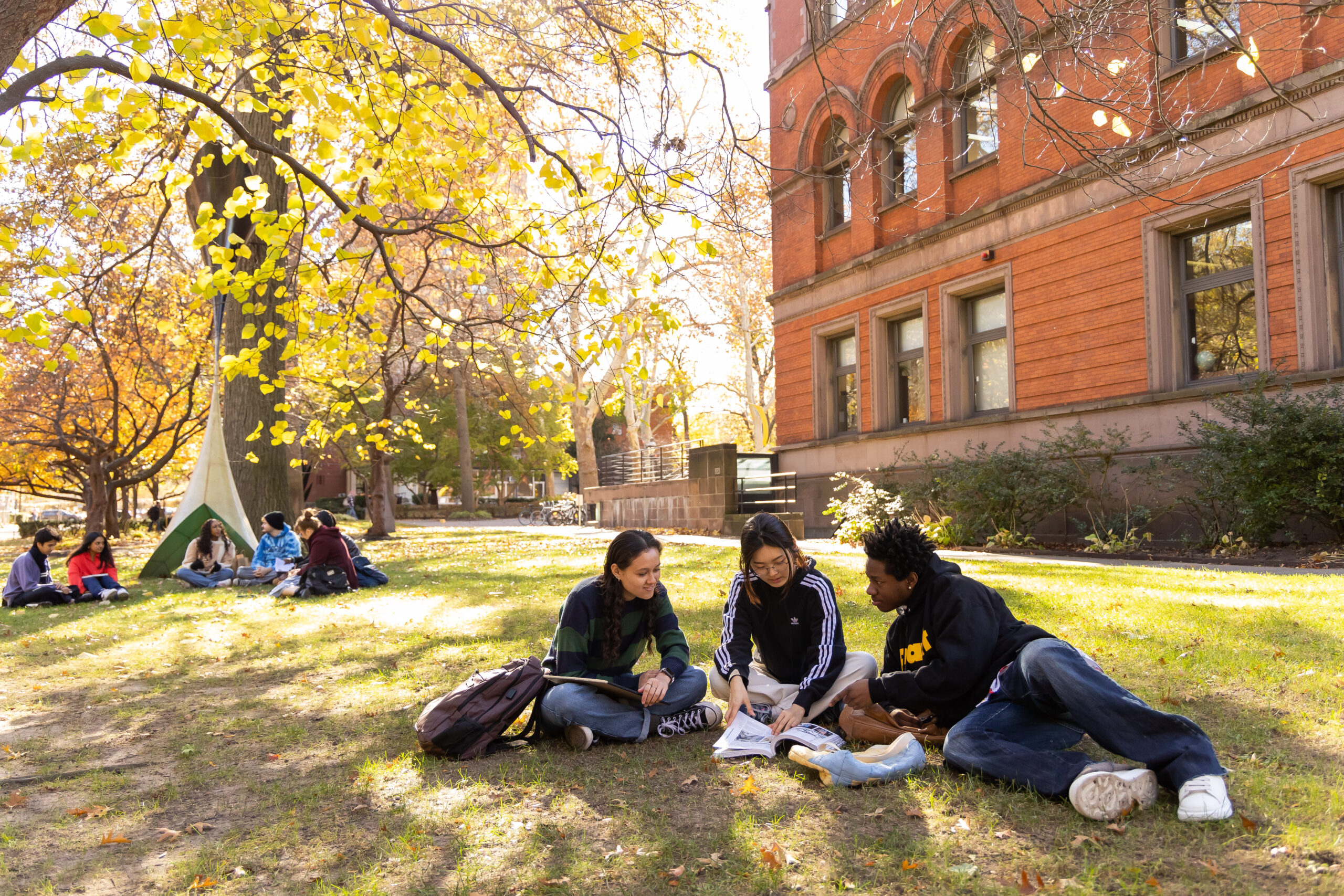 Pratt's Brooklyn campus in the fall. Groups of students are sitting on the grass talking to each other. Pratt's library, an old brick building, is in the background as are some of the sculptures that are throughout campus.